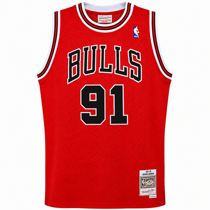 Chicago Bulls Dennis Rodman Mitchell & Ness Red 1995-96 Hardwood Classics Swingman Jersey