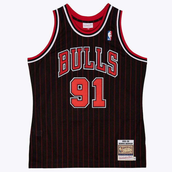 Chicago Bulls Jersey Dennis Rodman 1995 96 | Stitched Jersey RTJS 11920
